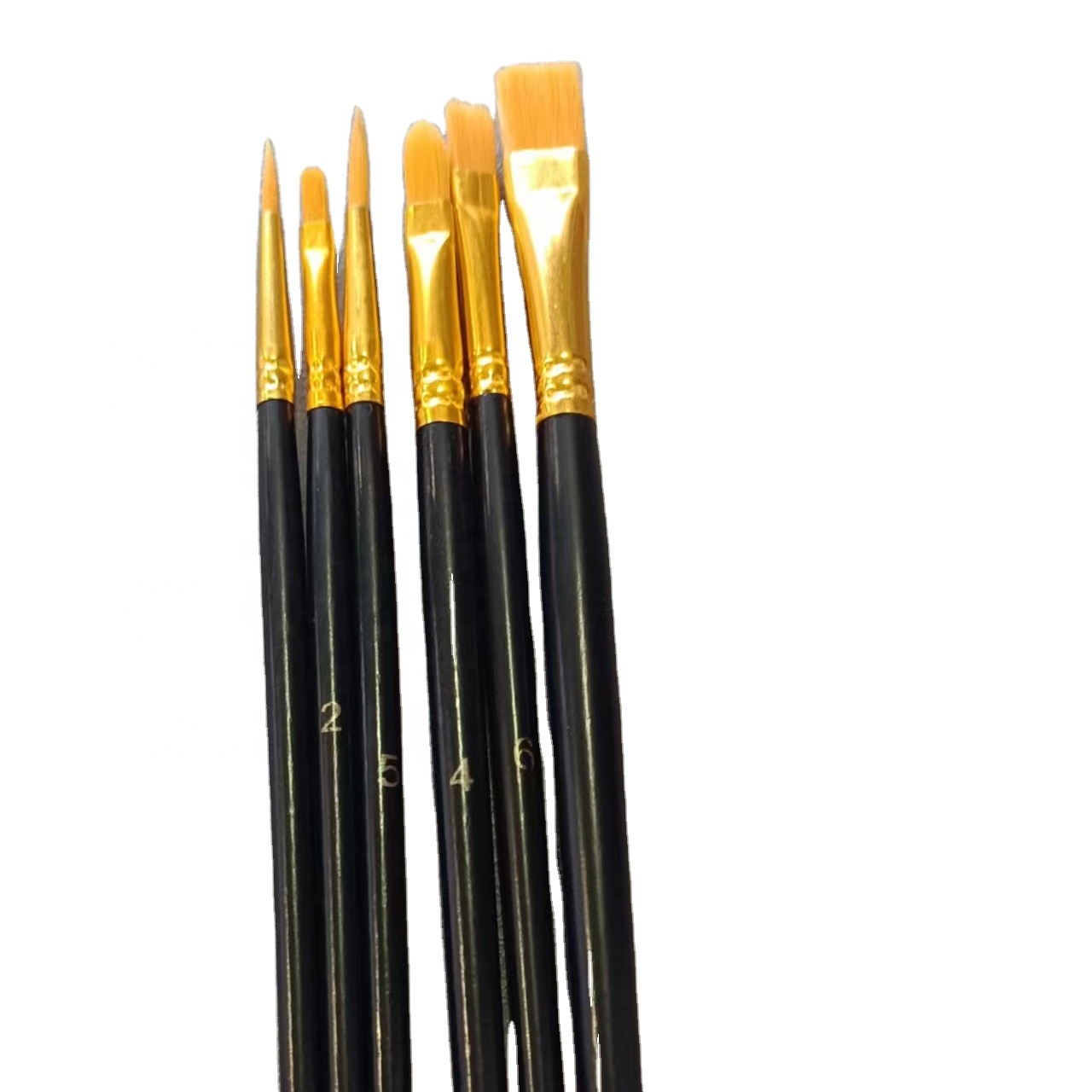 6 Pcs Paint Brushes Set Watercolor Brushes